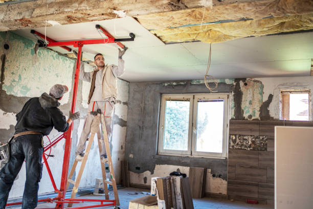 Best Insulation Maintenance and Repair in Magee, MS